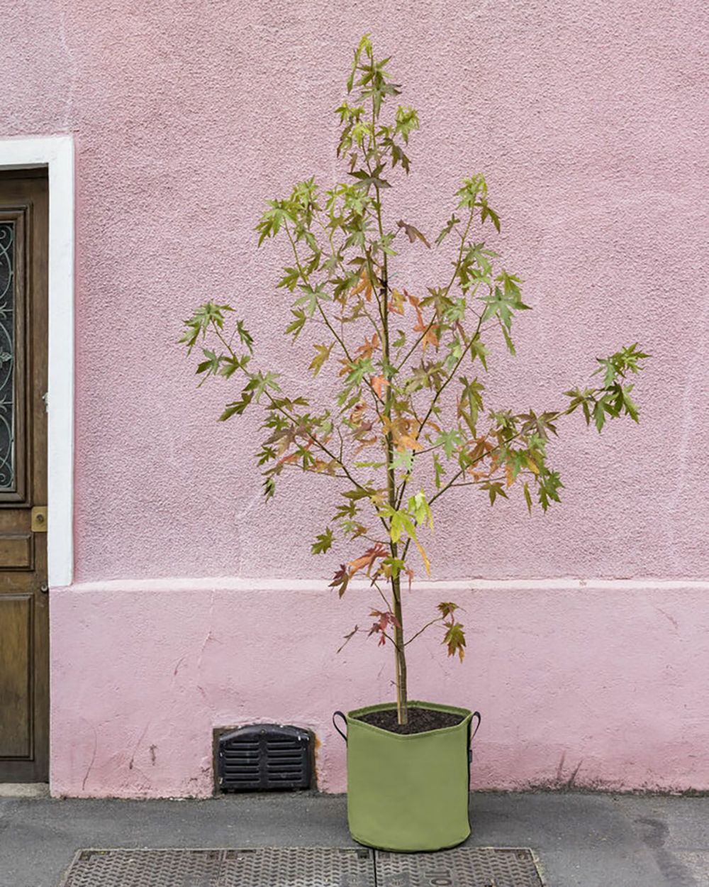 BACSQUARE POTAGER 300L | iBe.