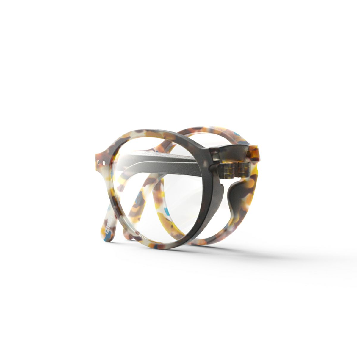 READING #FBlue Tortoise