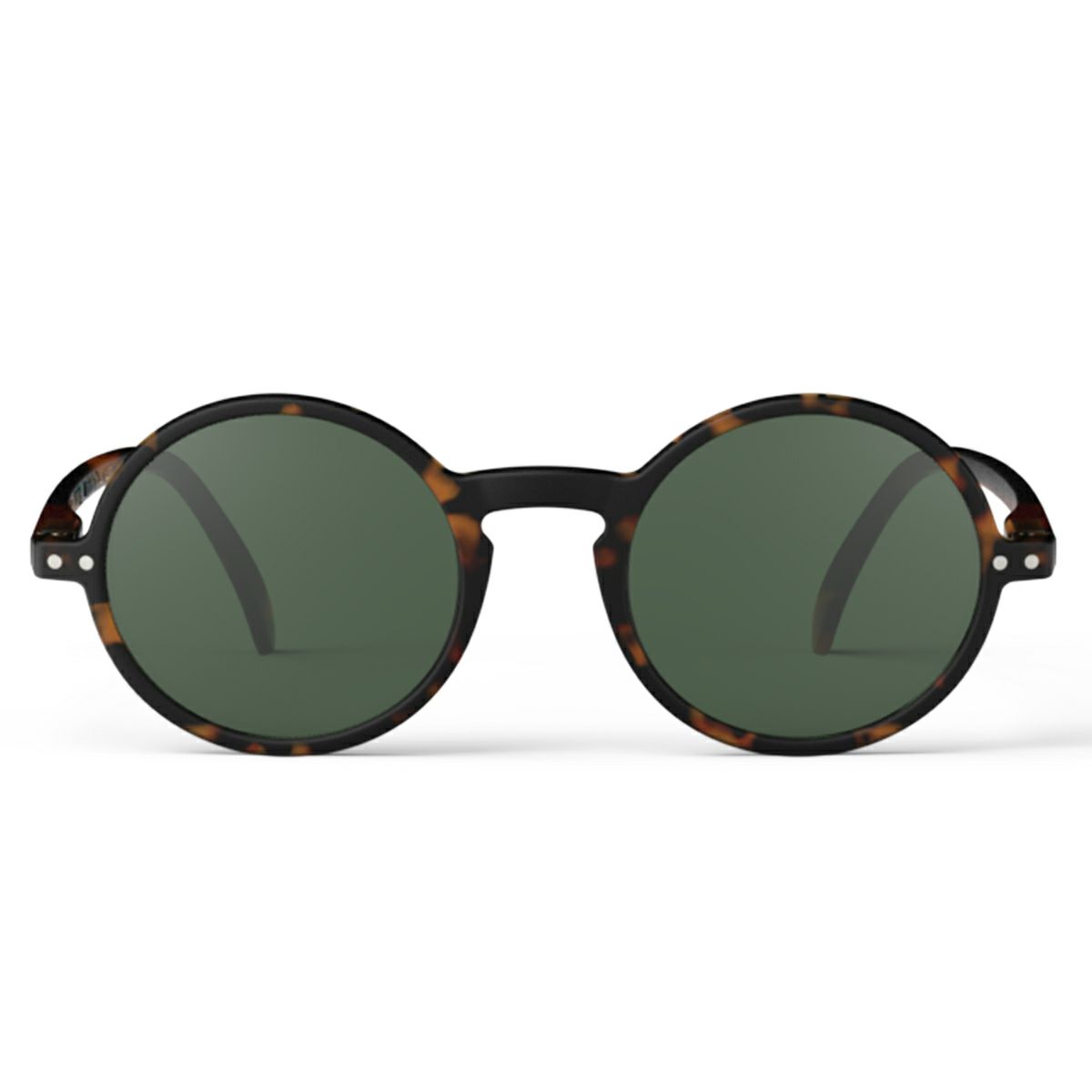 SUN #GTortoise