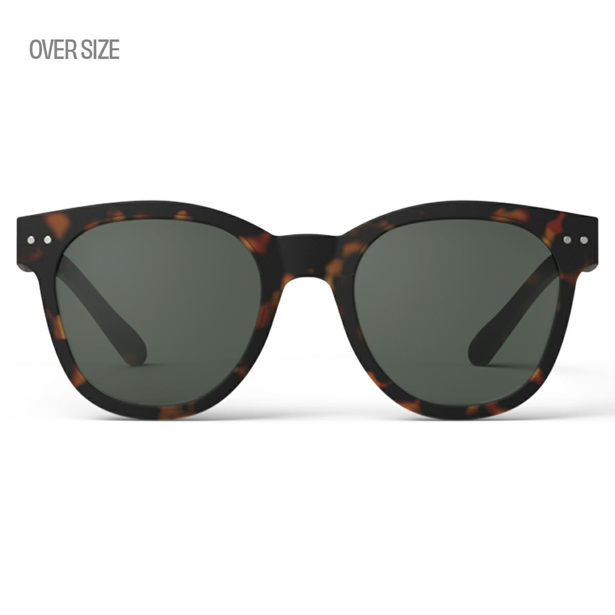 SUN #NTortoise