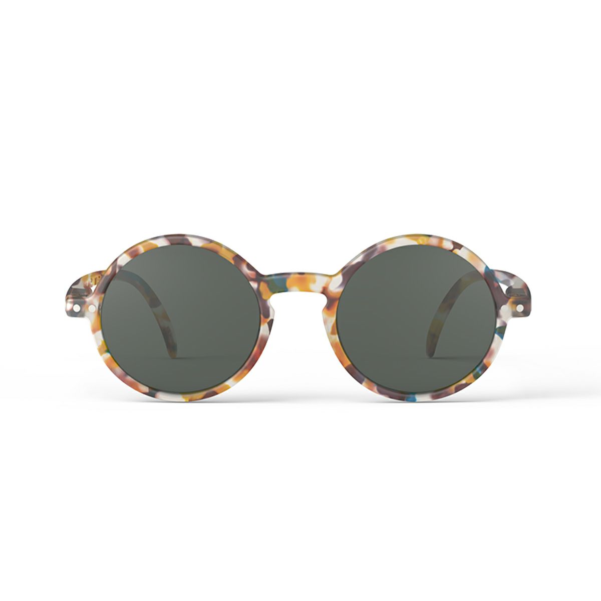 JUNIOR SUN＃gblue tortoise